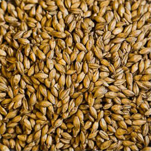 Rye Whiskey Mash Ingredient Barley