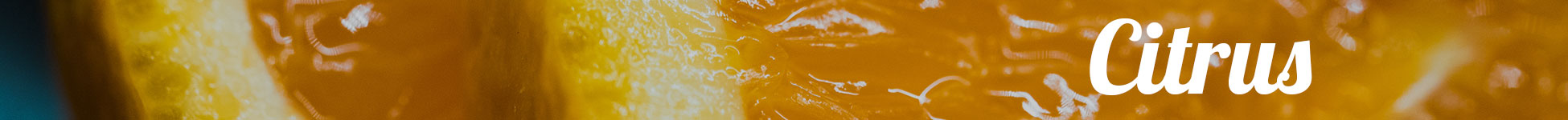 Gin Botanicals Citrus