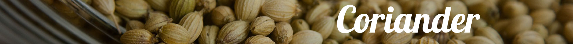 Gin Botanicals Coriander