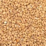 Gin Mash Ingredient Wheat