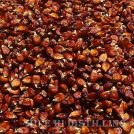 Bloody Butcher Corn