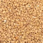 Gin Mash Ingredient Wheat