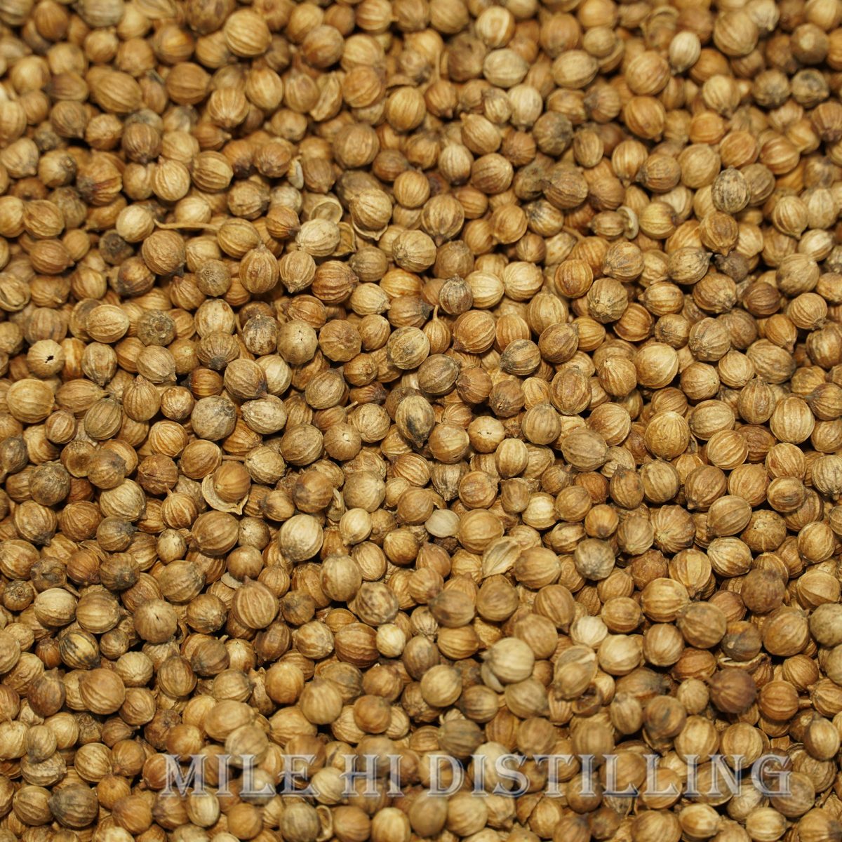 Coriander Seed (1lb) Mile Hi Distilling