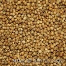 Coriander Seed Distilling Supplies