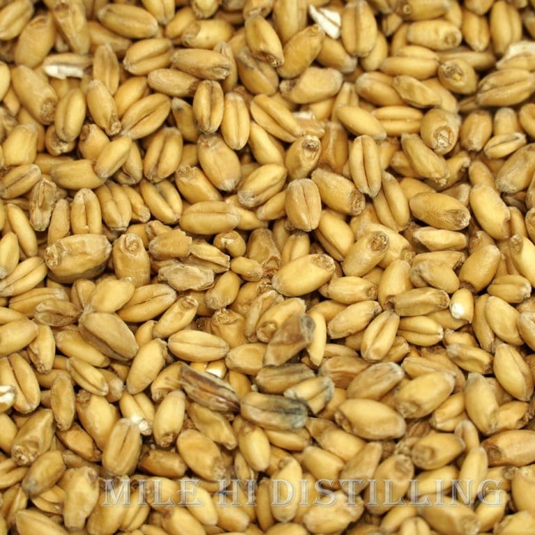 Distilling Grains Corn Malt Malted Corn For Sale Mile Hi Distilling