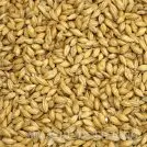 Medium Peated Malt