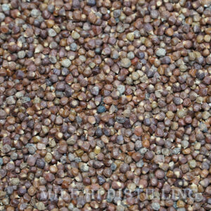 Paradise Seed (2oz)