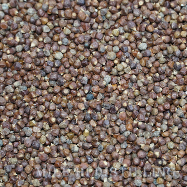 Paradise Seed (2oz)