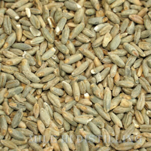 Rye Malt - 50lbs