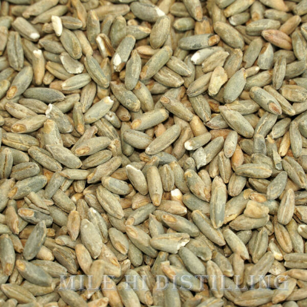 Rye Malt - 50lbs